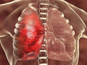 Screenshot 2026-01-08 123852