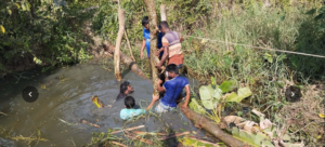 Screenshot 2026-02-03 193647