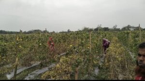 IMG-20260329-WA0094(1)