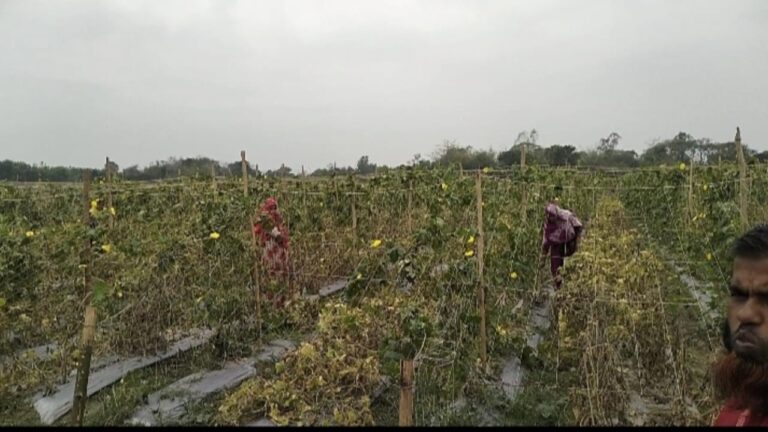 IMG-20260329-WA0094(1)