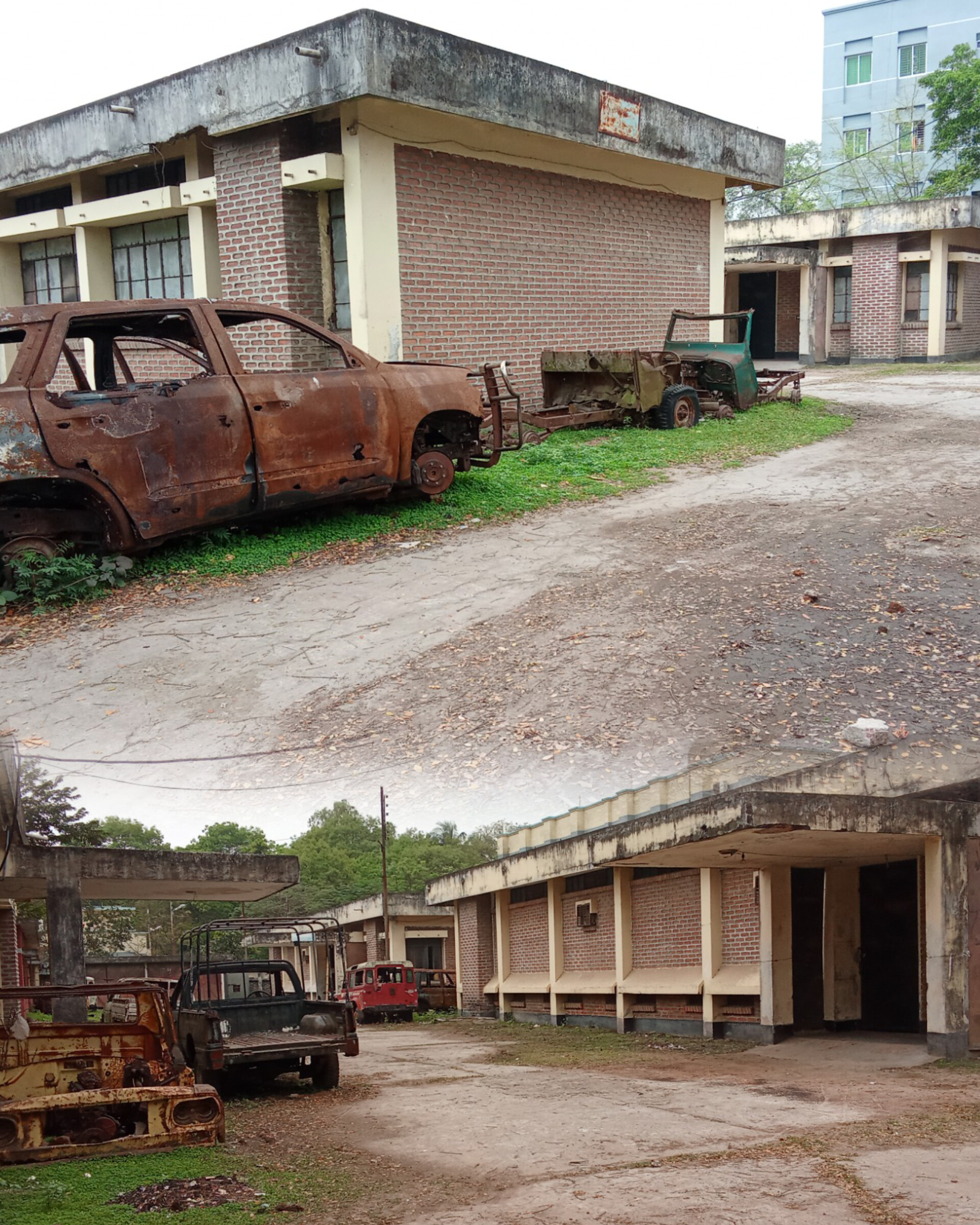 InShot_20260331_014024139