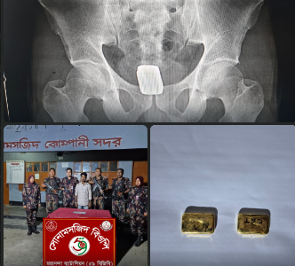 Screenshot 2026-03-13 141538