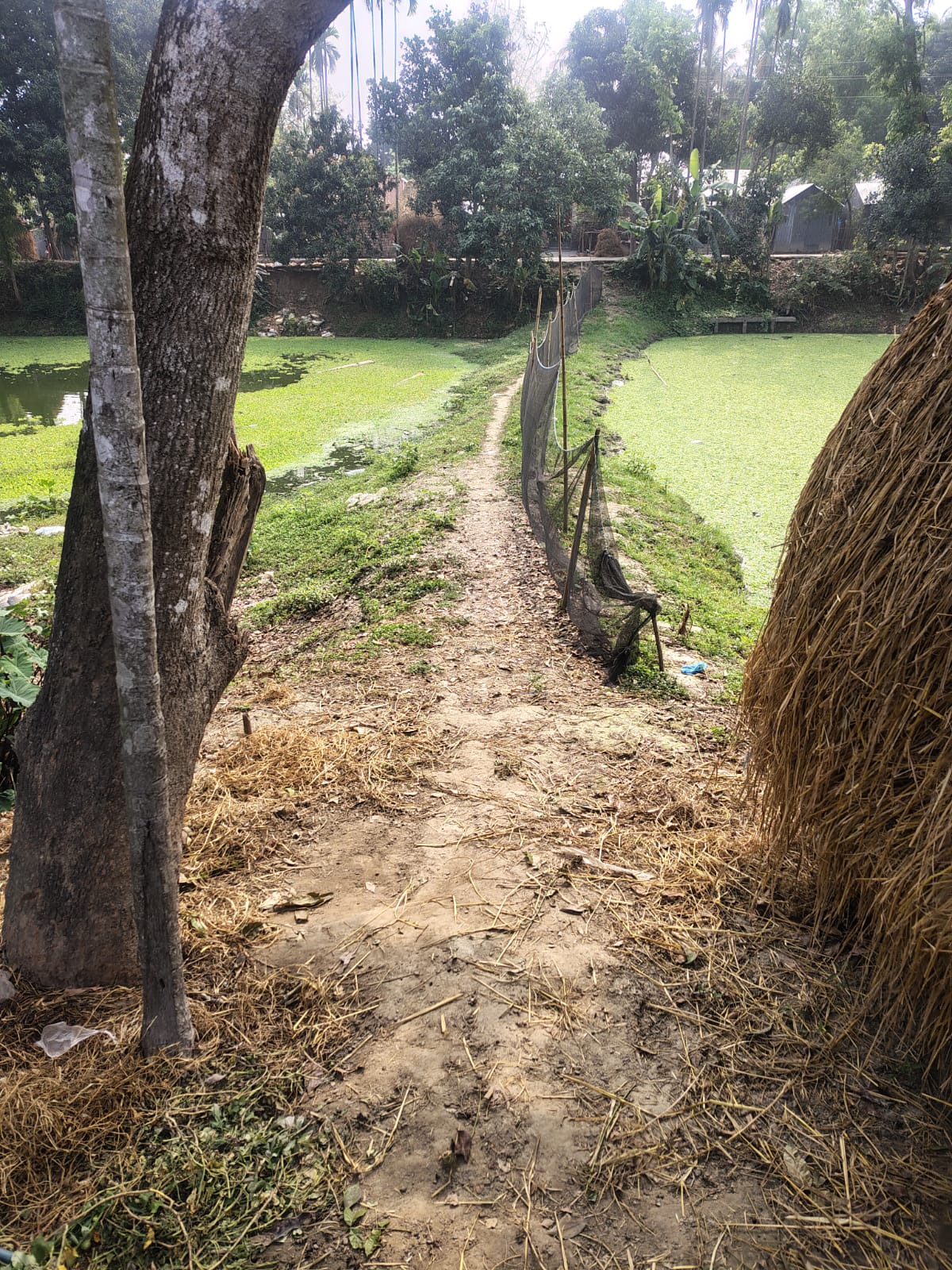 IMG-20260419-WA0074(1)